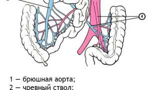 Портальная гипертензия: факторы возникновения, признаки, течение, устранение