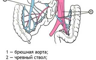 Портальная гипертензия: факторы возникновения, признаки, течение, устранение