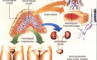 Симптомы заболеваний надпочечников, их диагностика и лечение