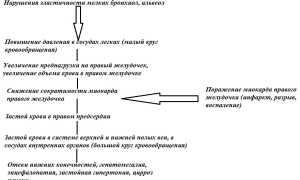 Правожелудочковая недостаточность: причины, симптомы, формы, диагностика, лечение