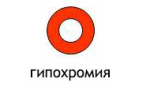 Гипохромия в крови: что это, виды гипохромных анемий и их отличие, лечение