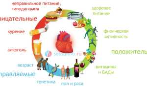 Факторы риска болезней сердца и сосудов: врожденные, приобретенные, управляемые