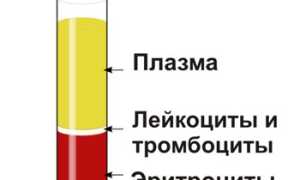 Тромбокрит: что это, норма и отклонения, причины высокого и низкого