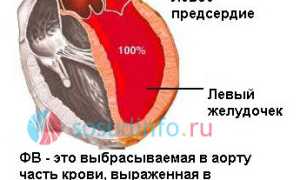 Фракция выброса левого желудочка сердца: нормы, причины понижения и высокой, как повысить