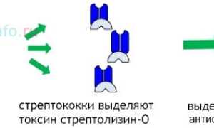 Ревматическая болезнь сердца: причины и патогенез, симптомы, диагностика, лечение