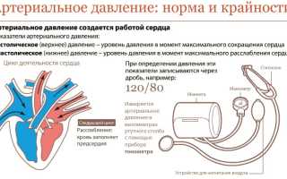 Систолическое и диастолическое давление: понятие, повышение и понижение – равномерное и асинхронное
