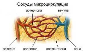 Физкультура для сосудов: регулярная зарядка и движение – лучшая профилактика!