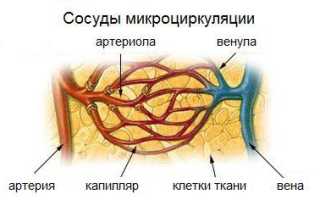 Физкультура для сосудов: регулярная зарядка и движение – лучшая профилактика!