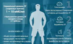 Лютеинизирующий гормон у мужчин: норма, дисбаланс и методы восстановления