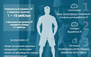 Лютеинизирующий гормон у мужчин: норма, дисбаланс и методы восстановления