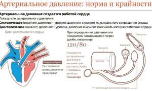 Артериальное давление: какое считать нормальным, как измерять, что делать при высоком и низком?