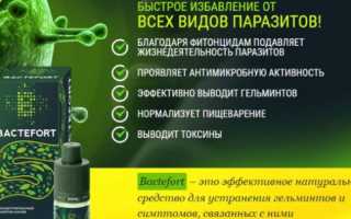 Что представляют собой капли от паразитов «Bactefort»