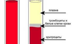 Плазма крови: составные элементы (вещества, белки), функции в организме, использование