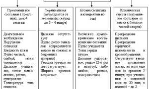 Сердечно-легочная реанимация: алгоритм проведения, терминальные состояния