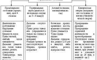Сердечно-легочная реанимация: алгоритм проведения, терминальные состояния