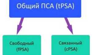 PSA (простатспецифический антиген): понятие, норма в анализе, тактика и прогноз исходя из уровня, правила сдачи