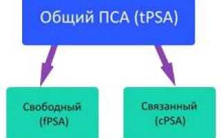 PSA (простатспецифический антиген): понятие, норма в анализе, тактика и прогноз исходя из уровня, правила сдачи