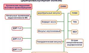 Цереброваскулярная болезнь: формы, причины, симптомы, диагностика, как лечить