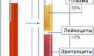 РОЭ (реакция оседания эритроцитов): суть, нормы в анализе, методы исследования, отклонения уровня
