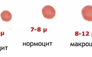 Ширина распределения эритроцитов (индекс RDW): что это, норма, повышен и понижен