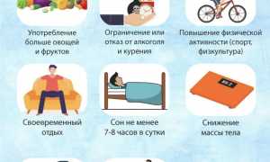 Здоровье сосудов и сердца, методы профилактики и предупреждение заболеваний