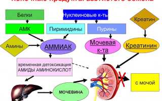 Уремия: понятие, почему и как развивается, клиника и проявления, диагностика, терапия