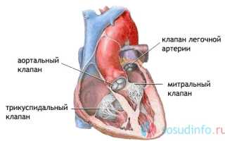 Регургитация клапанов сердца: симптомы, степени, диагностика, лечение