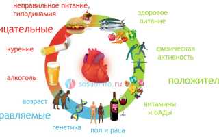 Как укрепить сердце: факторы, питание, упражнения, образ жизни, народные средства