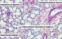 Воспаление слюнных желез: причины, симптомы и лечение