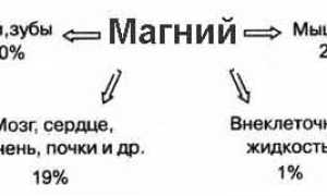 Магний: роль в организме, норма в крови, понижение и его симптомы, как нормализовать уровень