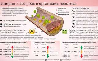 Гиперхолестеринемия (повышенный холестерин): возникновение, проявления, правила питания и лечения