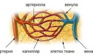 Кровотечения: симптомы и классификация, оказание доврачебной помощи, лечение
