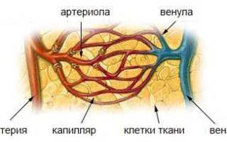 Кровотечения: симптомы и классификация, оказание доврачебной помощи, лечение