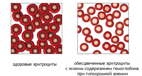 41116161156