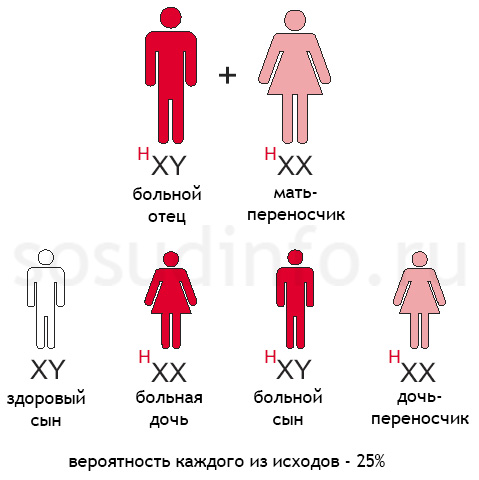 гемофилия: Отец больной гемофилией, мать - переносчик гена
