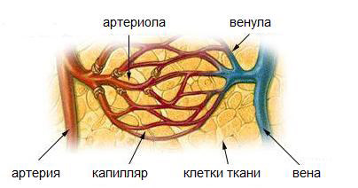 456465488