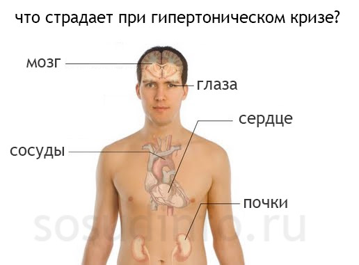 46486488