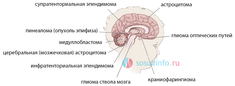 46886648468468