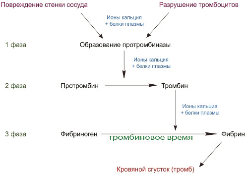 46886684