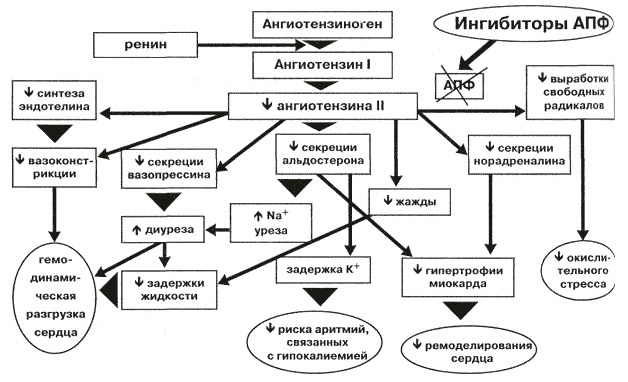 486648486486