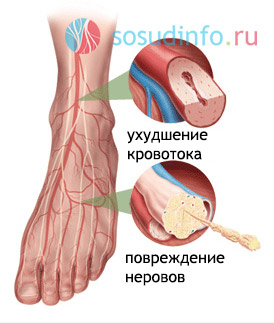 486684684648