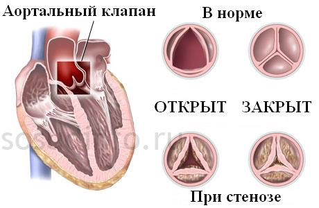 4868486486
