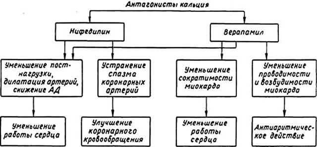4868846648