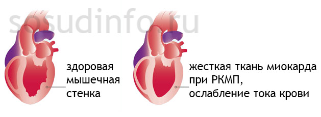 4884848448
