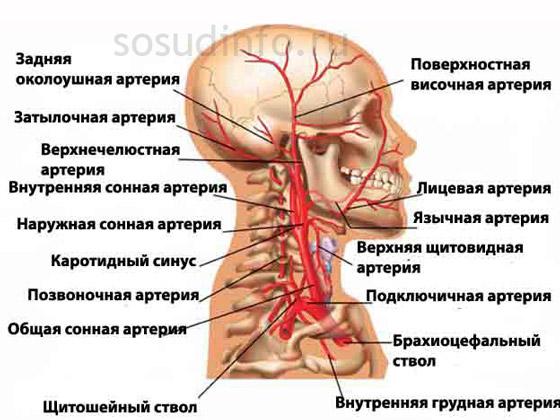 545466446