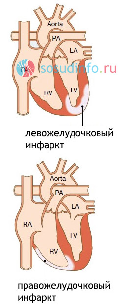 546468864486