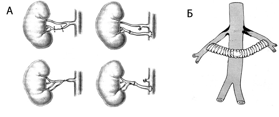 54648486