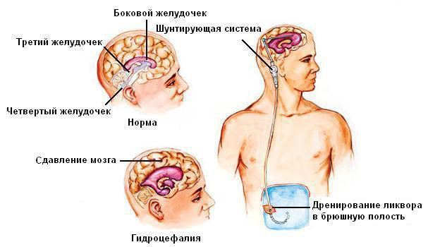 546486864