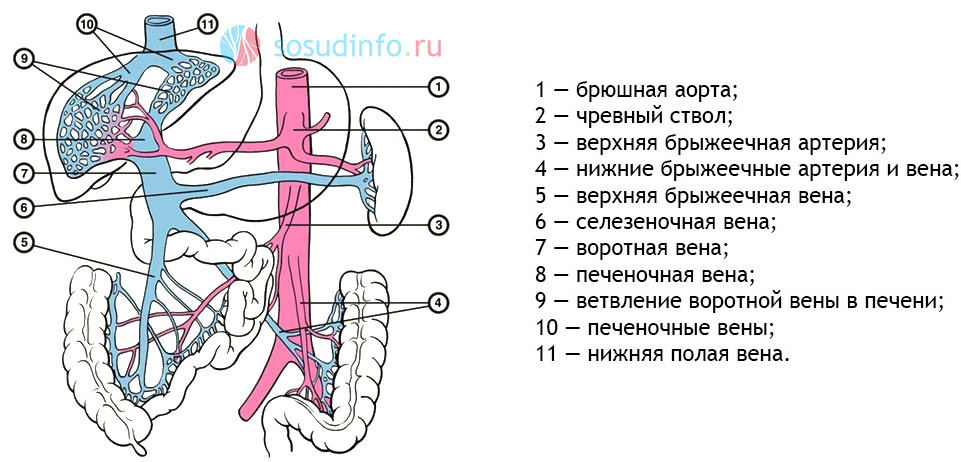 5464884486
