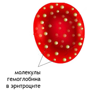 54648884648